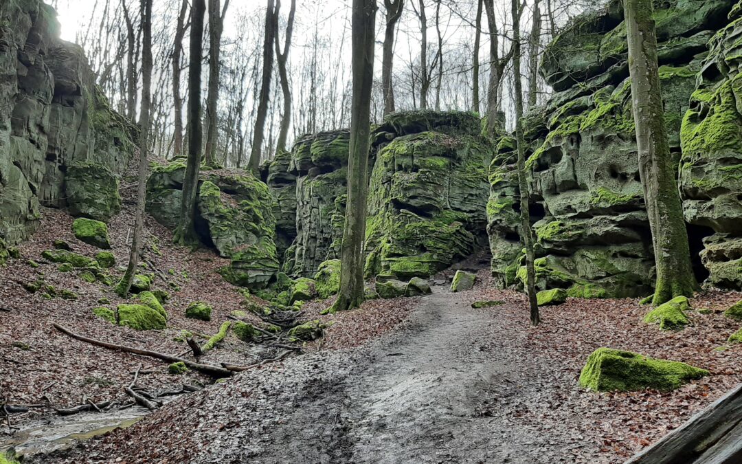Hike at the Grüne Hölle (Germany)