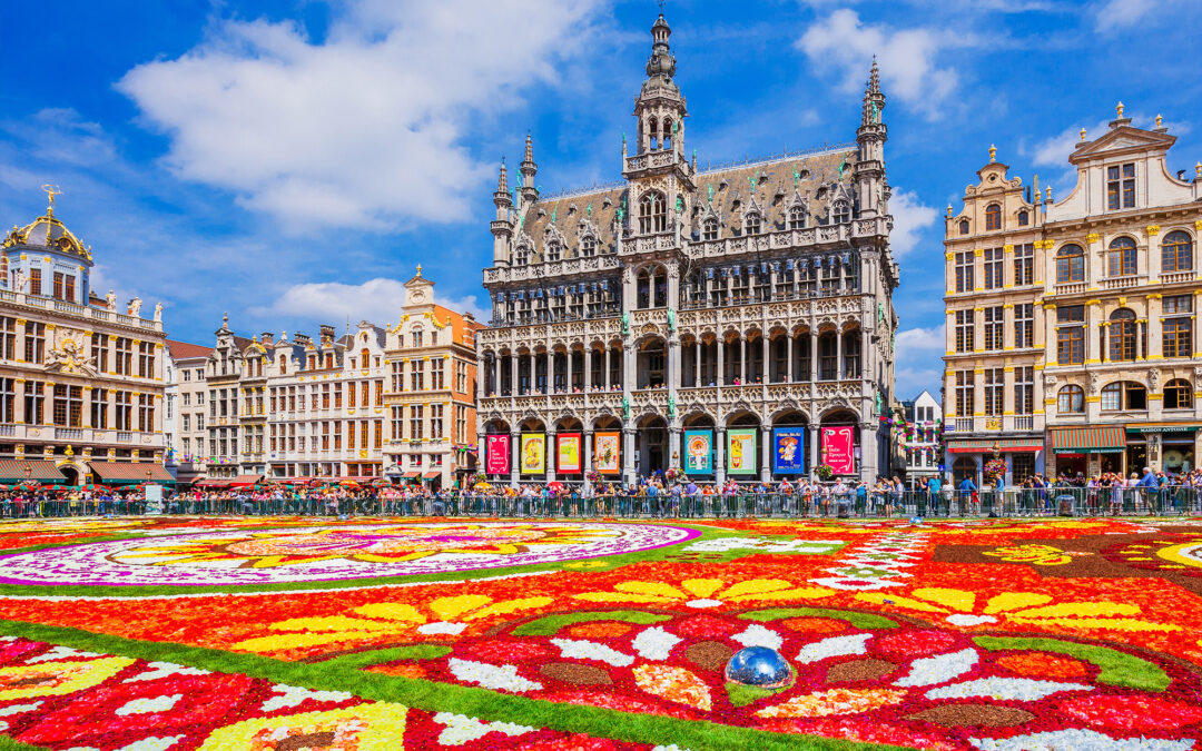 Brussels Flower Carpet