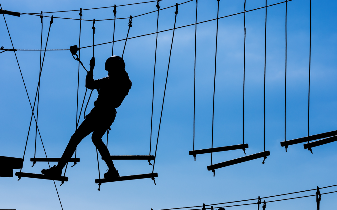 Volcano & Ropes Tour